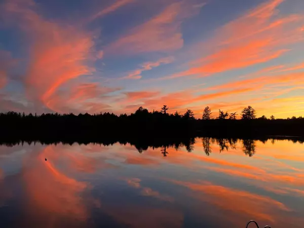 Lake Of Bays, ON P1H 2J6,2901 Limberlost RD #3