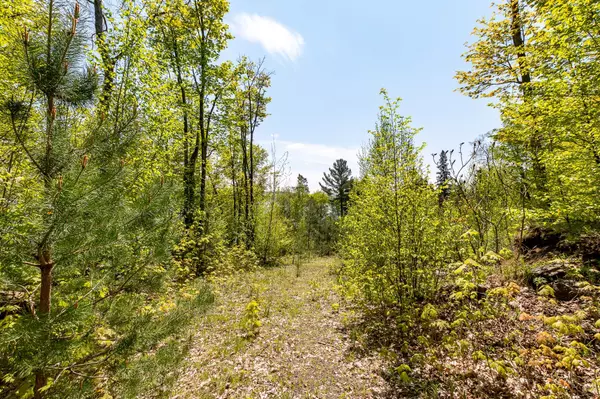 Huntsville, ON P1H 1B4,631 60 HWY