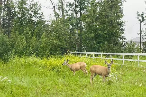 5420 Davies ST, Innisfail, AB T4G 1E3