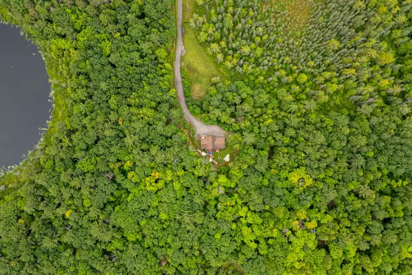 Muskoka Lakes, ON P0B 1J0,3142 Hwy 118 RD W