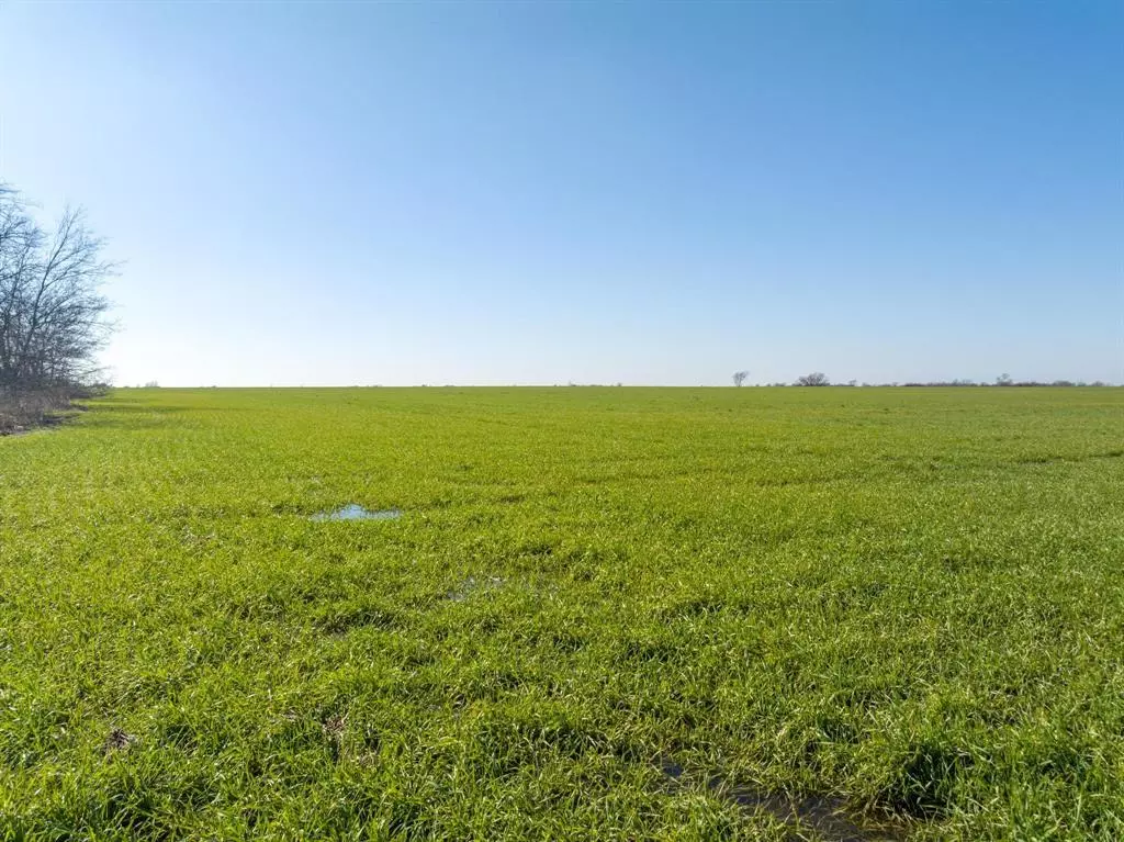 Honey Grove, TX 75446,0000 Fm 824