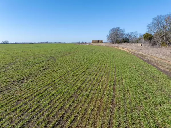 Honey Grove, TX 75446,0000 Fm 824