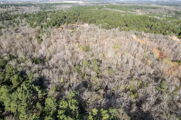 Jacksonville, TX 75766,2225 County Road 3406