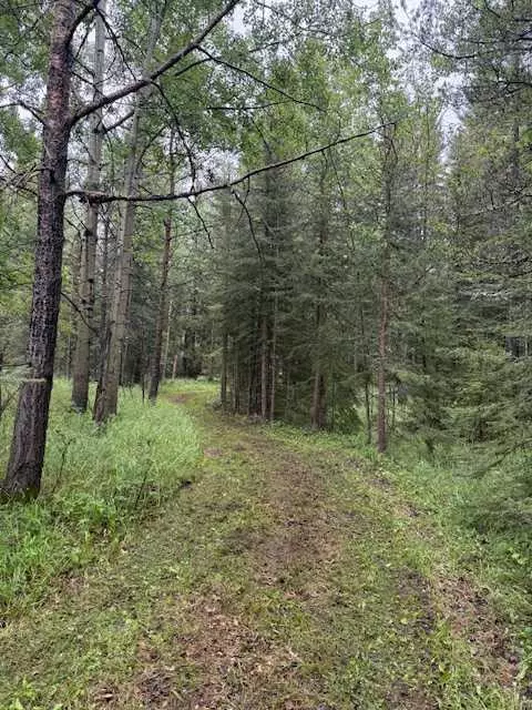 Rural Clearwater County, AB T0M 1C0,50084 TWP RD 35-0 #43