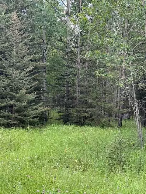 Rural Clearwater County, AB T0M 1C0,50084 TWP RD 35-0 #43