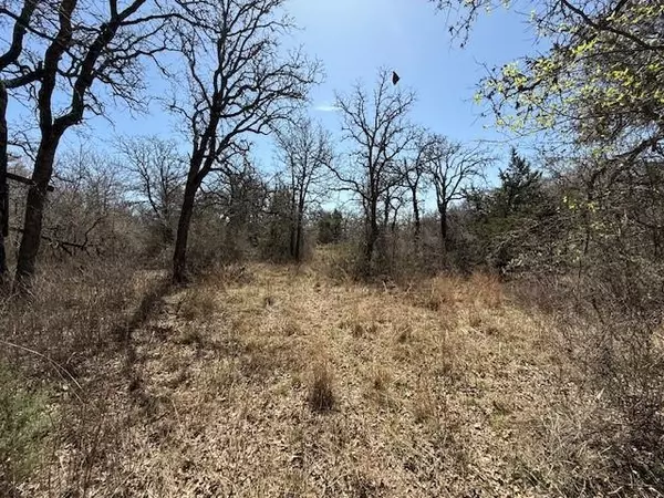 Dublin, TX 76446,000 County Road 401