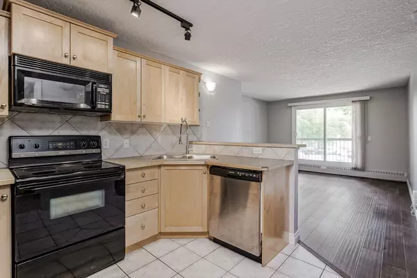 60 38a AVE SW #305, Calgary, AB T2S2Z9