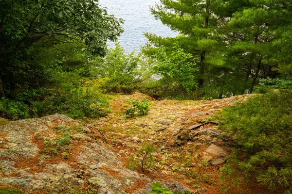 Huntsville, ON P1H 2J2,920 Big Island N/A