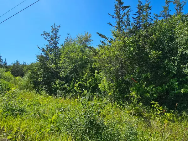 Prince Edward County, ON K0K 2P0,Beside 101 Royal RD