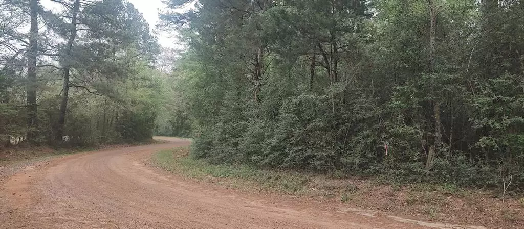 TBD County Road 165, Long Branch, TX 75669
