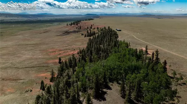 4319 Meier Ridge TRL, Fairplay, CO 80440