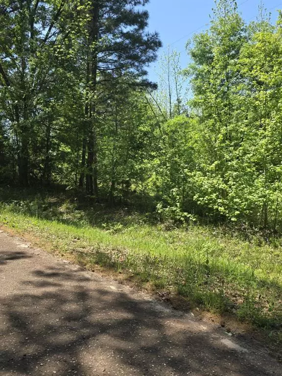 Tyler, TX 75704,TBD County Road 421