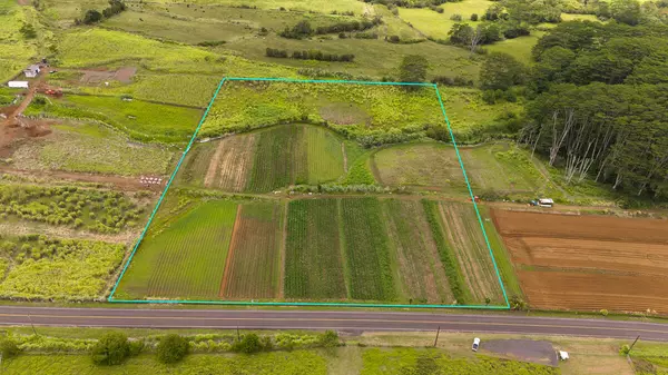 Honomu, HI 96728,AKAKA FALLS ROAD