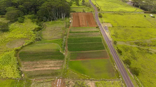 Honomu, HI 96728,AKAKA FALLS ROAD