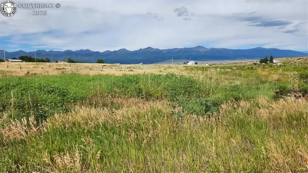 Silver Cliff, CO 81252,420 Belford ST