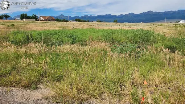 Silver Cliff, CO 81252,420 Belford ST