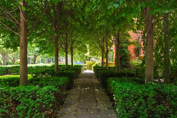 Toronto C09, ON M4W 1N3,20 Elm AVE