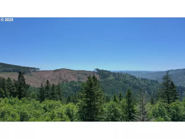 Brookings, OR 97415,98393 E COUGAR LN