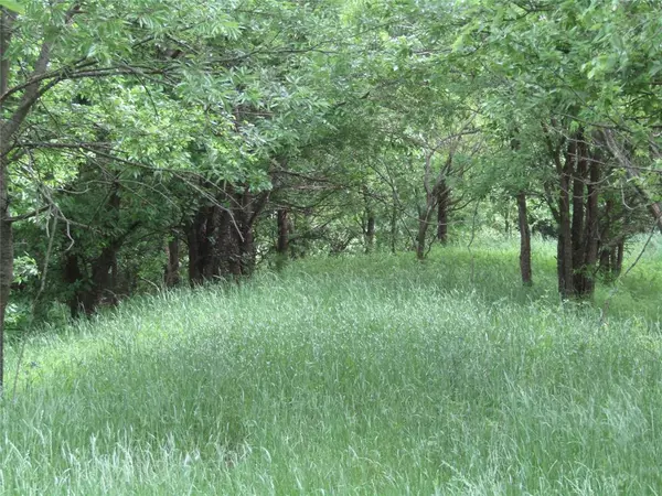Sanger, TX 76249,. Fm 2450 & Indian Trail