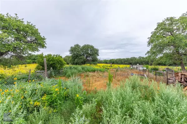 Hawley, TX 79525,11569 County Road 343