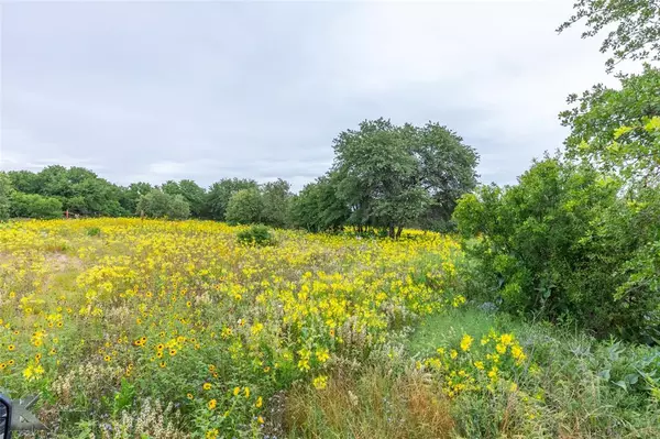 Hawley, TX 79525,11569 County Road 343