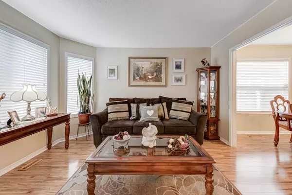 Barrie, ON L4N 6Z4,55 ETHERINGTON CRES