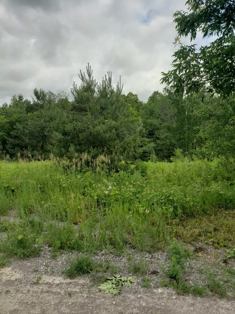 Trent Hills, ON K0K 3K0,59 Hutchinson CT