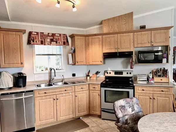 Innisfree, AB T0B 2G0,10317 Township Road 512
