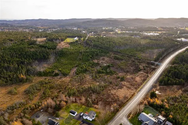 0 Foley's Hill, South River, NL A0A3W0