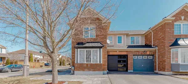 29 Jessop DR #Bsmt, Brampton, ON L7A 3M8