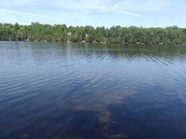 Rideau Lakes, ON K0G 1X0,75 - 372 Murphy RD