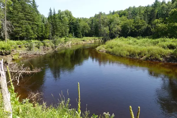 Bancroft, ON K0L 1C0,739B Bronson RD