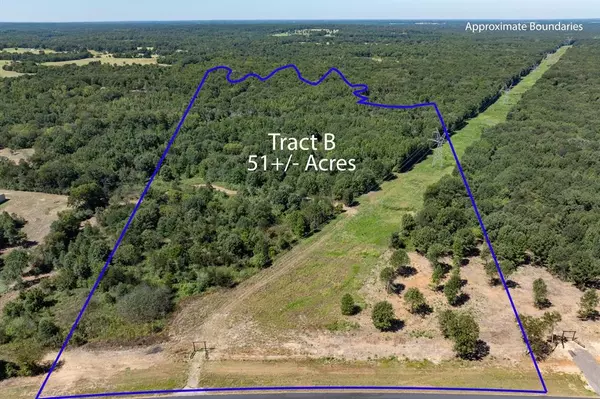 Mineola, TX 75773,00 Hwy 69 / CR 484
