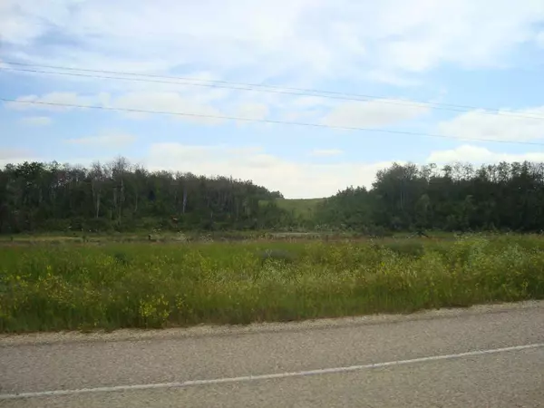 Rural Red Deer County, AB T0M 0Y0,Hi Way 590