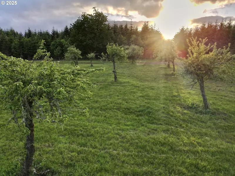 11892 SW Dupee Valley RD, Mc Minnville, OR 97128