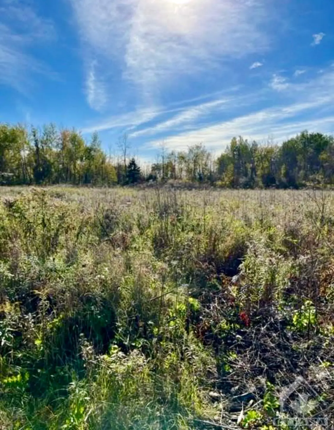 26 HONEY BEE GRV, Stittsville - Munster - Richmond, ON K0A 2Z0