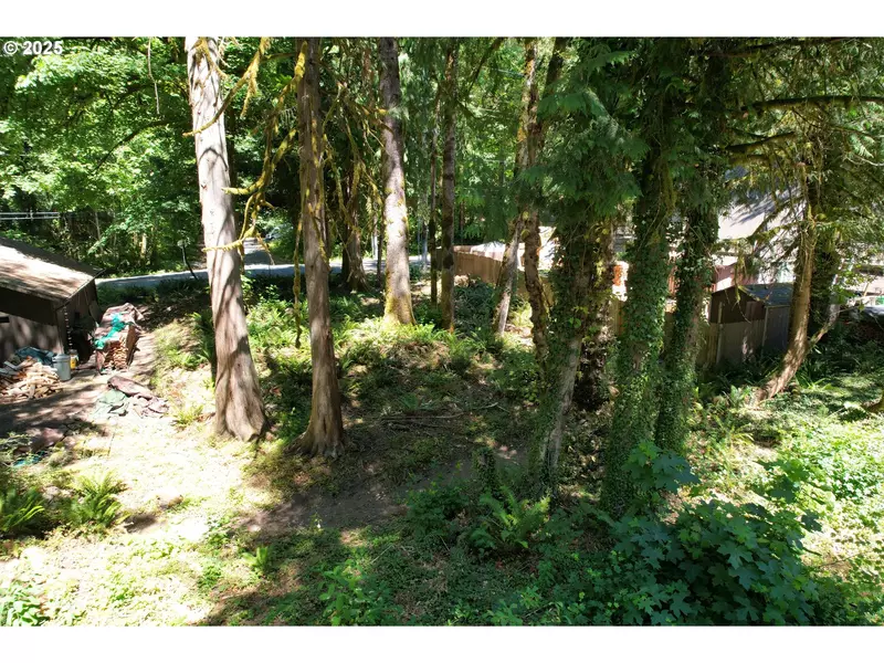 65065 E LUPINE DR, Rhododendron, OR 97049