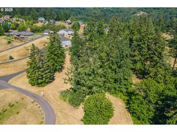 Woodland, WA 98674,165 SATURN AVE