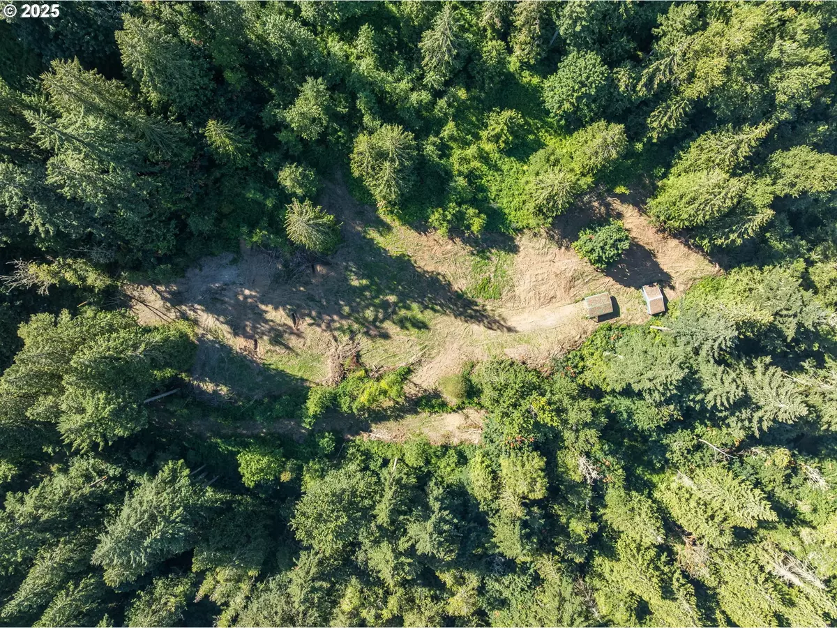 La Center, WA 98629,000 NE Johnson RD