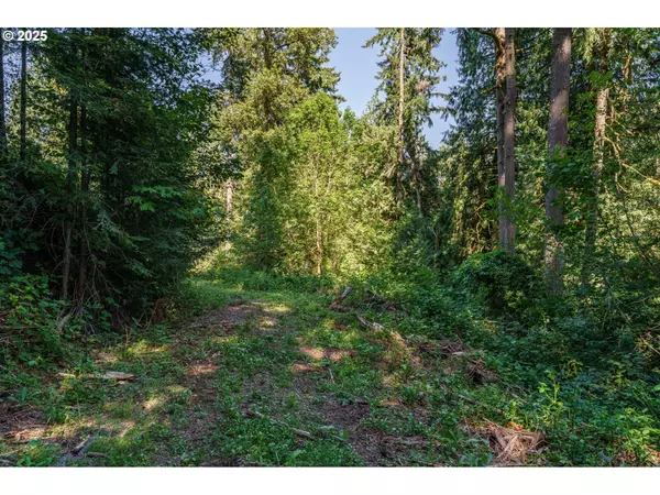La Center, WA 98629,000 NE Johnson RD