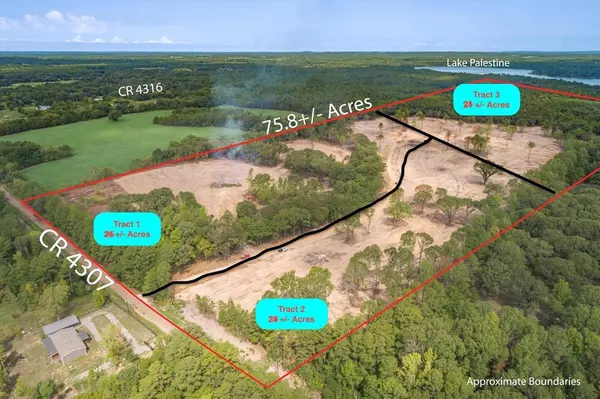 Tract 3 - TBD County Road 4307, Larue, TX 75770