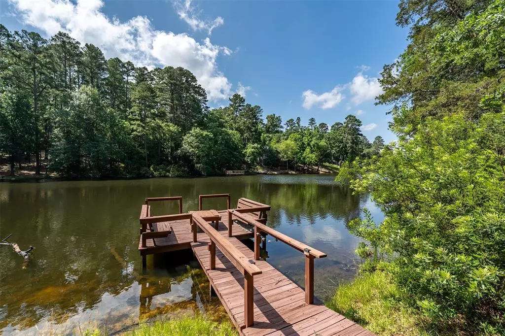 Holly Lake Ranch, TX 75765,381 Winding Trail