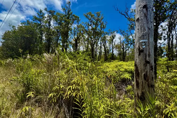 Volcano, HI 96785,MAKOA RD