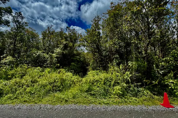 Volcano, HI 96785,11-1993 KALEPONI DR