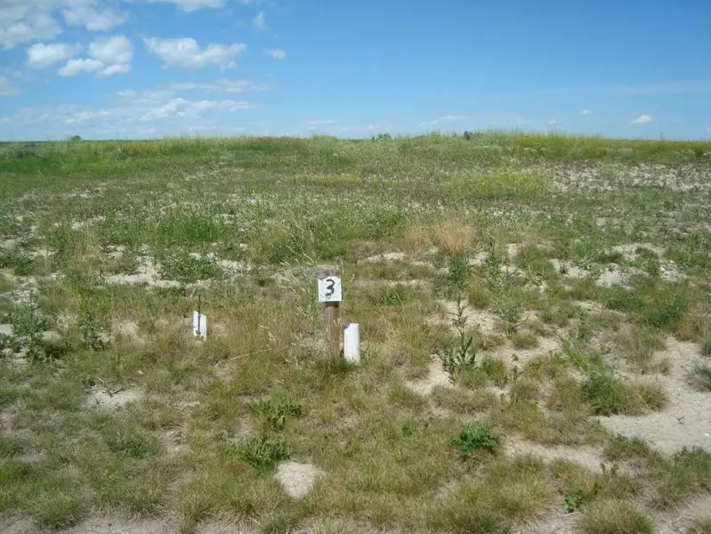 516 Coulee TRL, Stavely, AB T0L 1Z0