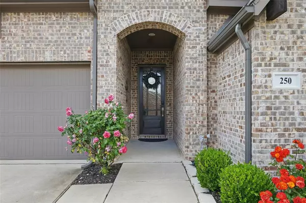 Oak Point, TX 75068,250 Wilmette Avenue