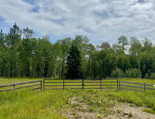 Rural Ponoka County, AB T0C 2J0,On Range Road 4-1