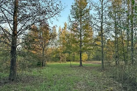 25.96 AC CR 4885, Winnsboro, TX 75494