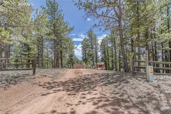 Divide, CO 80814,62 Spring Creek DR