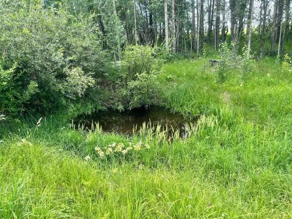 Rural Mountain View County, AB T0M 0S0,RR40 south of Twp Rd 293